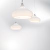 CHESTNUT s - Suspension-Pendant Lights